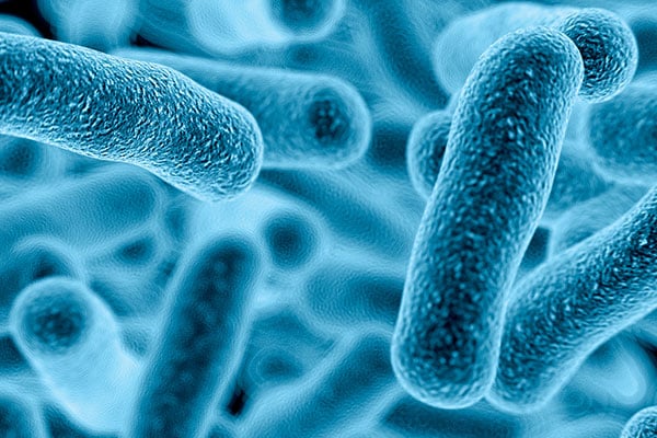 Reported Legionnaires' Cases on The Rise